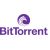  BitTorrent:     