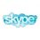  Skype   iPad