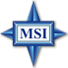 MSI